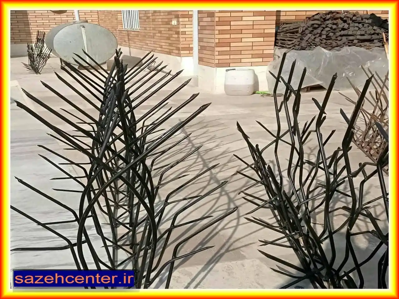 مشخصات حفاظ شاخ گوزنی و عوامل مؤثر بر انتخاب