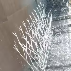 حفاظ شاخ گوزنی تراکم 34 حفاظ شاخ گوزنی تراکم 34