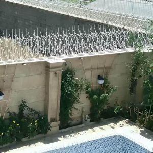 حفاظ شاخ گوزنی تراکم 40