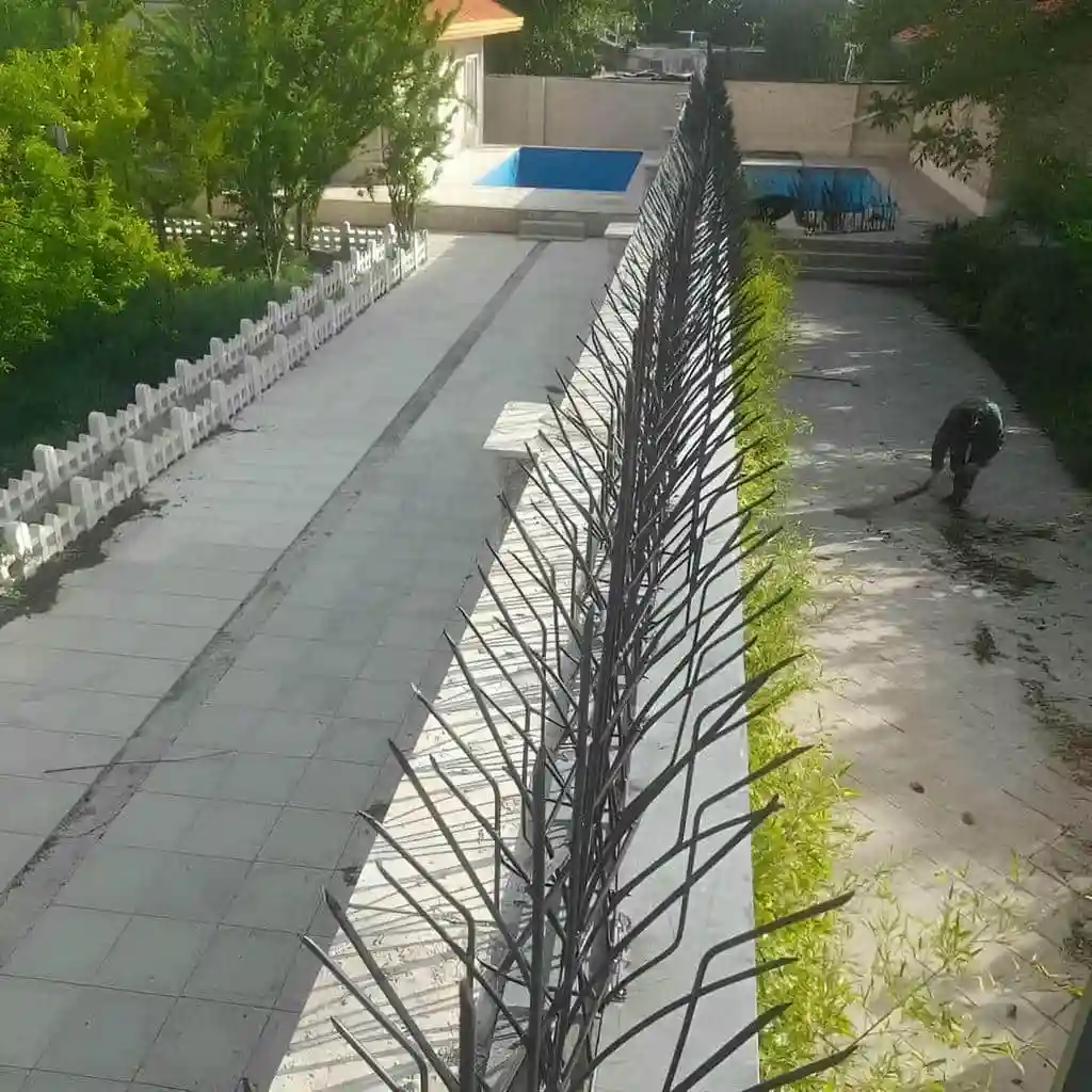 کاربرد حفاظ شاخ گوزنی