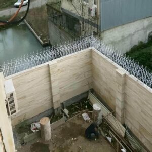 حفاظ شاخ گوزنی چیست