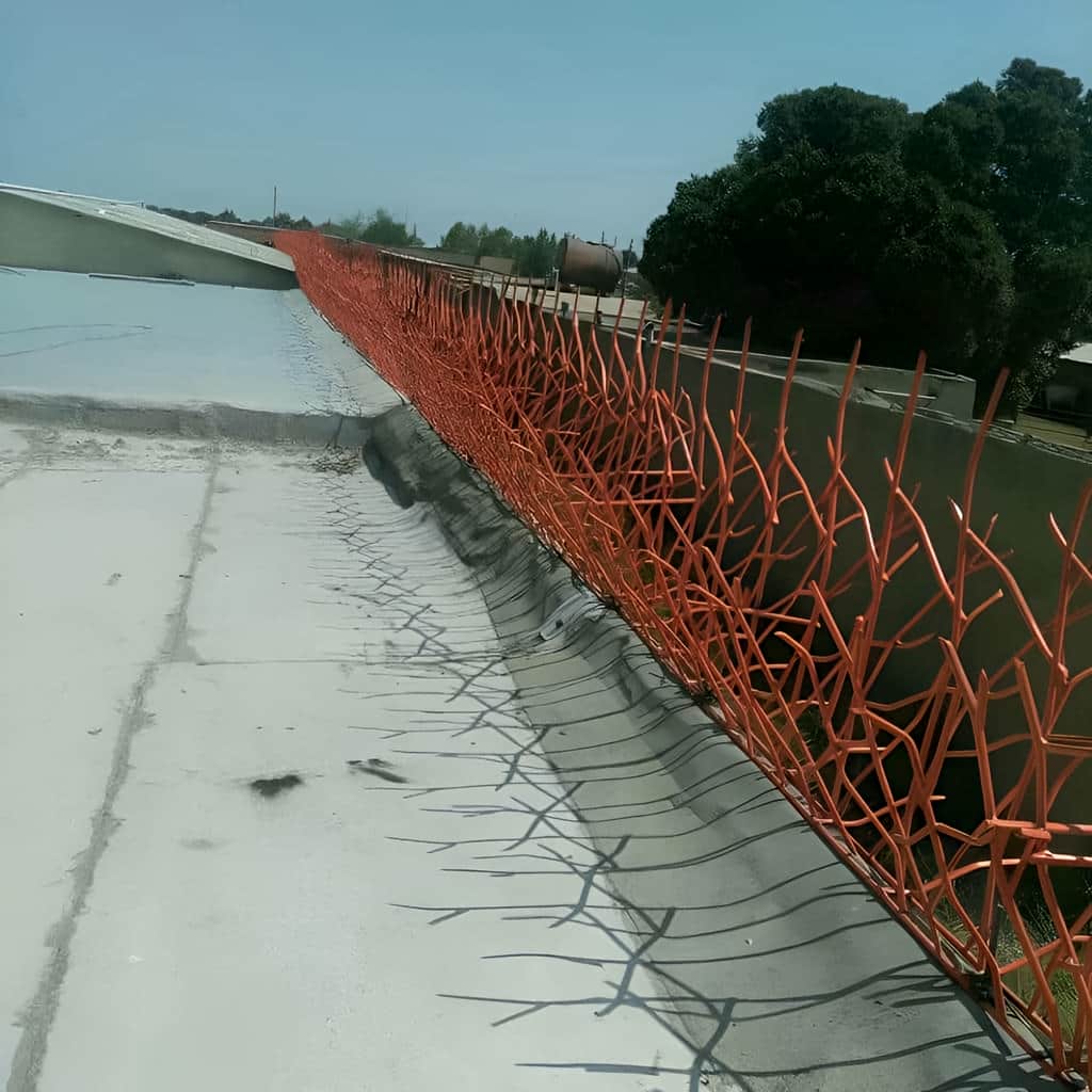 قیمت حفاظ بوته ای دیوار