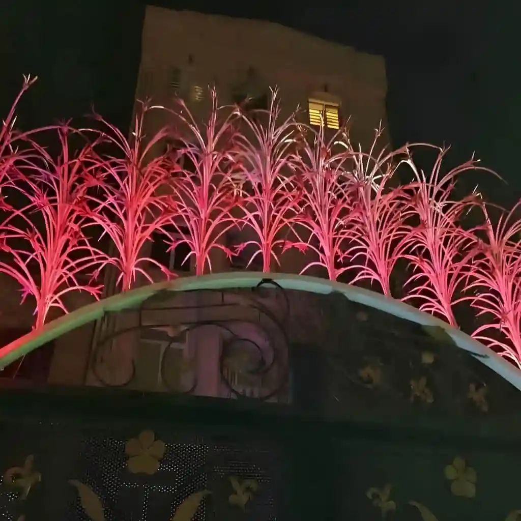 حفاظ دیوار لیلیوم