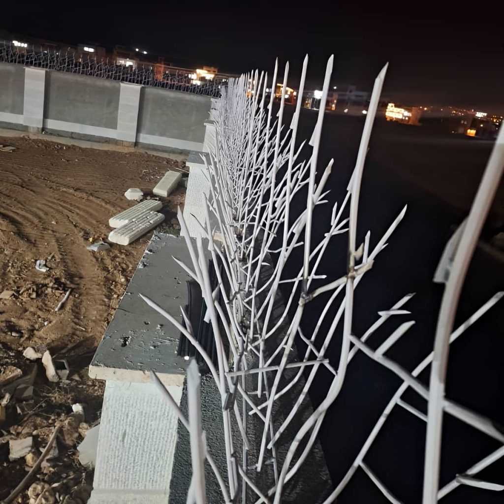 خرید حفاظ شاخ گوزنی حفاظ روی دیوار در همدان