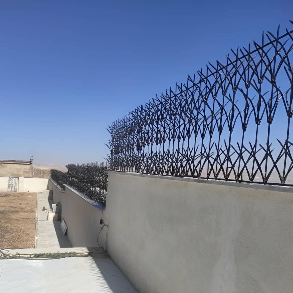 حفاظ شاخ گوزنی در اراک