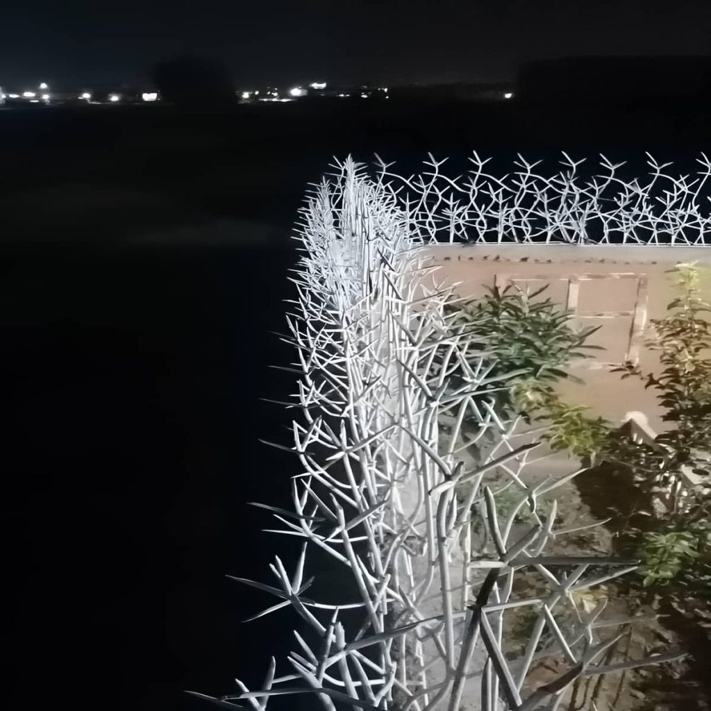 حفاظ شاخ گوزنی در اهواز