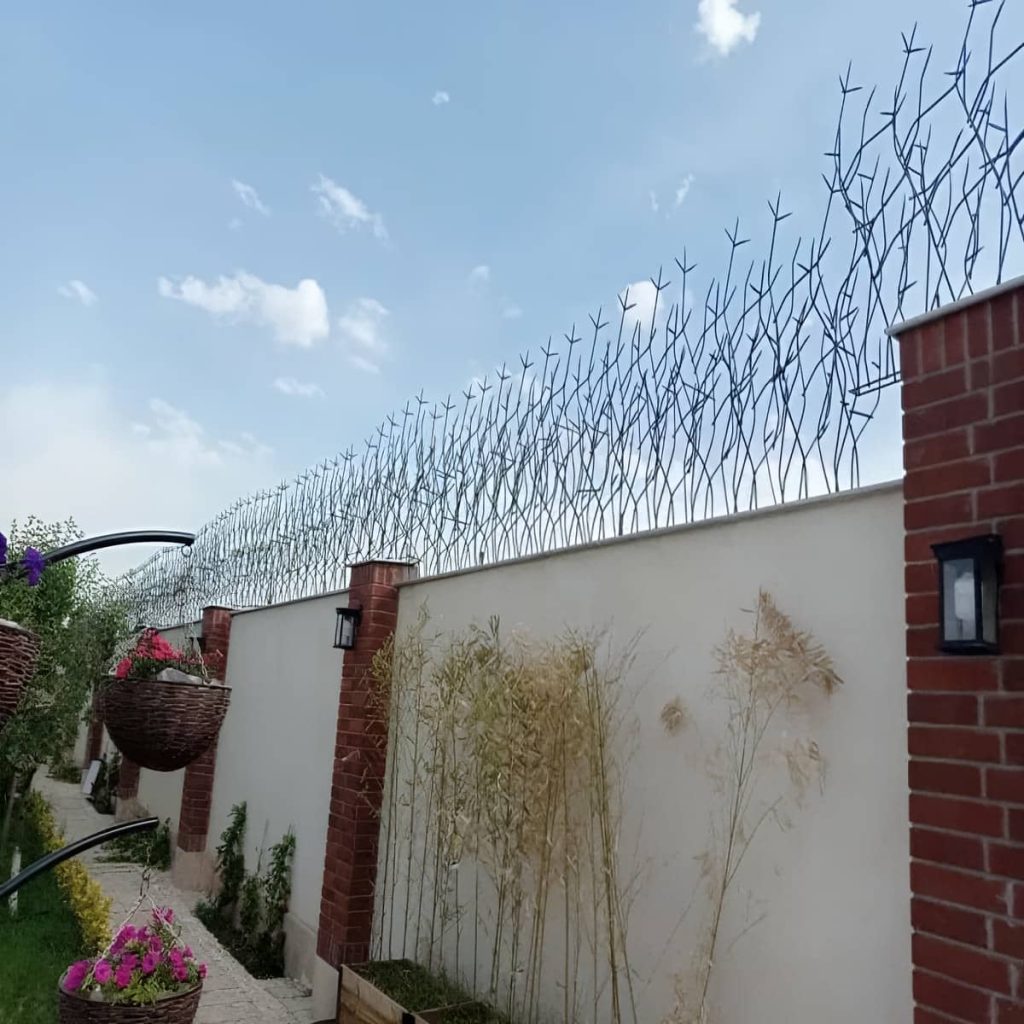 حفاظ شاخ گوزنی در اصفهان