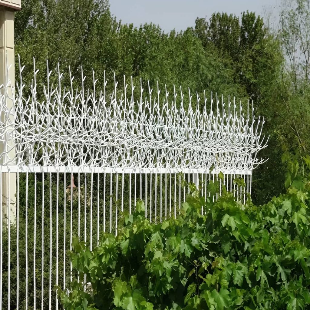 نصب حفاظ شاخ گوزنی حفاظ دیوار ساختمان در زاهدان