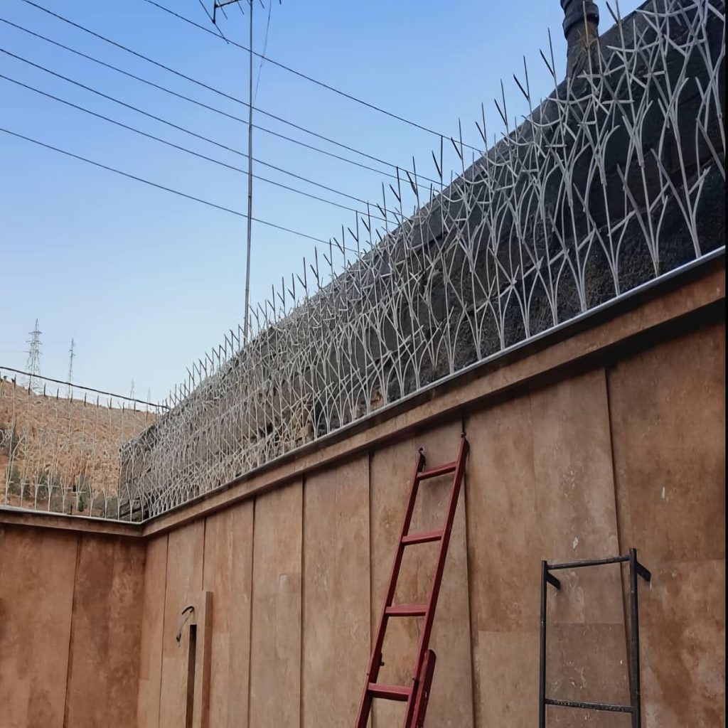 خرید حفاظ شاخ گوزنی تراکم شاخه در نظرآباد