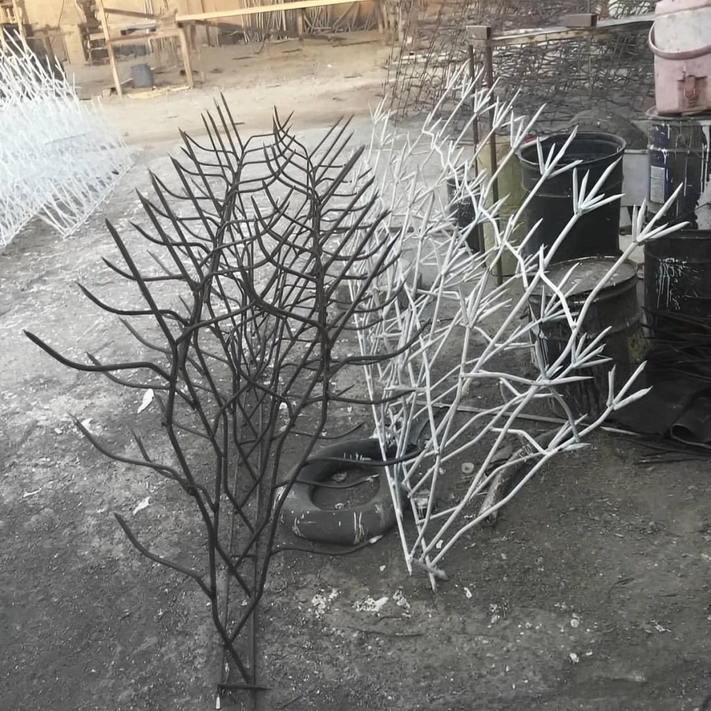 حفاظ شاخ گوزنی در کاشان