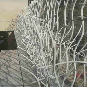 حفاظ شاخ گوزنی در بندر لنگه