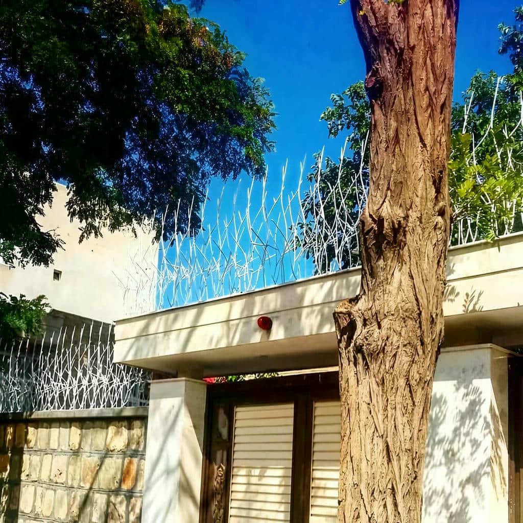 خرید حفاظ شاخ گوزنی حفاظ روی دیوار در زاهدان