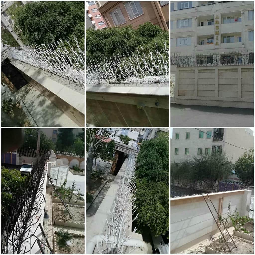 قیمت حفاظ شاخ گوزنی نرده شاخ گوزنی در اردبیل قیمت حفاظ شاخ گوزنی نرده شاخ گوزنی در اردبیل