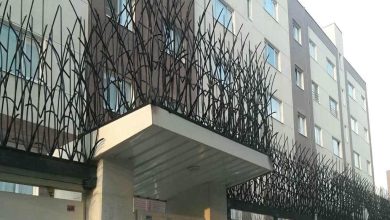 حفاظ شاخ گوزنی در فیروزکوه