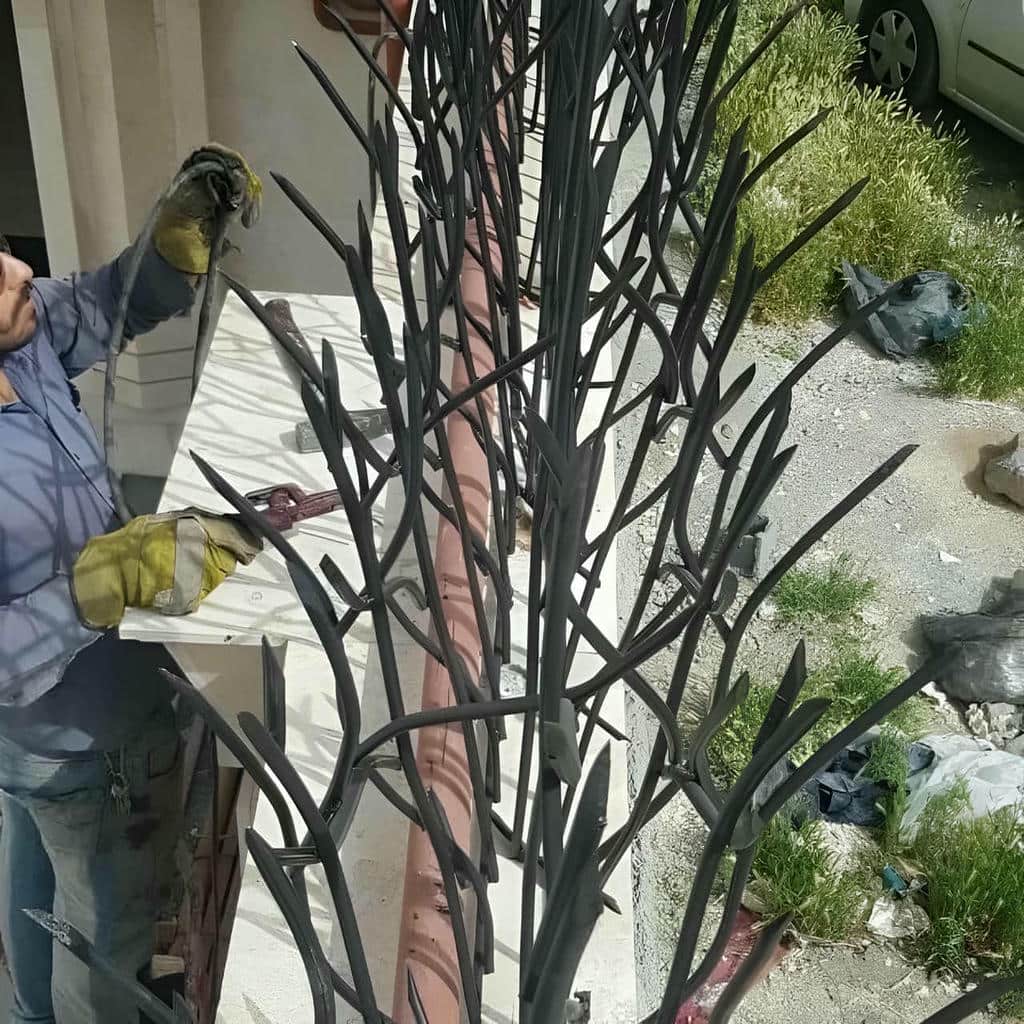 حفاظ شاخ گوزنی در ایرانشهر