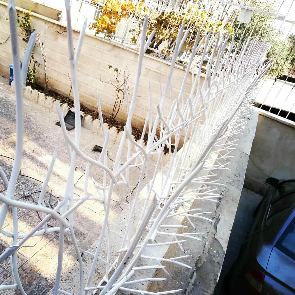 قیمت حفاظ شاخ گوزنی ارتفاع حفاظ در بجنورد قیمت حفاظ شاخ گوزنی ارتفاع حفاظ در بجنورد