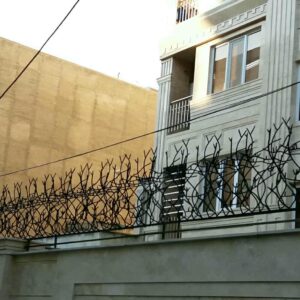 حفاظ شاخ گوزنی در اندیشه