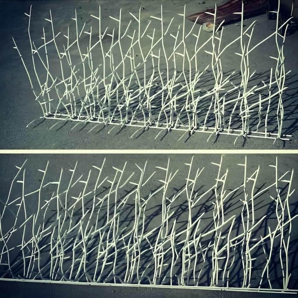 نصب حفاظ شاخ گوزنی ضدسرقت در بندر دیلم نصب حفاظ شاخ گوزنی ضدسرقت در بندر دیلم