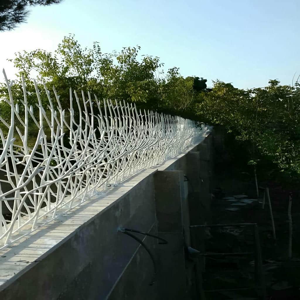 حفاظ شاخ گوزنی در ملارد