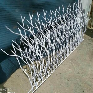 حفاظ شاخ گوزنی در فردیس کرج