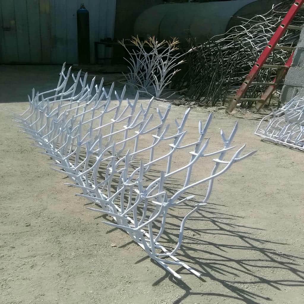 حفاظ شاخ گوزنی در استان گیلان