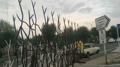 حفاظ شاخ گوزنی در استان گلستان