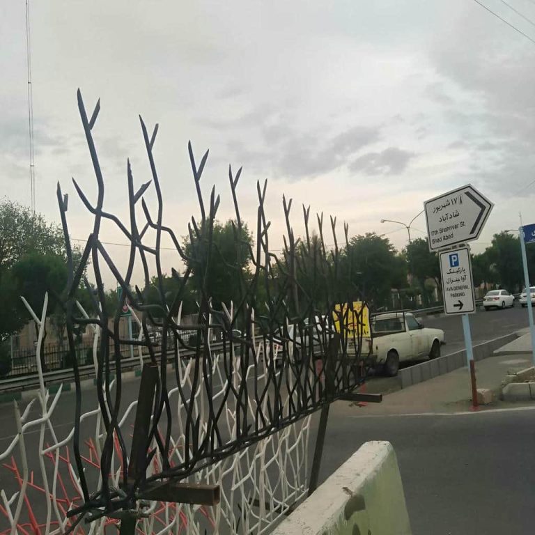 حفاظ شاخ گوزنی در استان گلستان حفاظ شاخ گوزنی در استان گلستان
