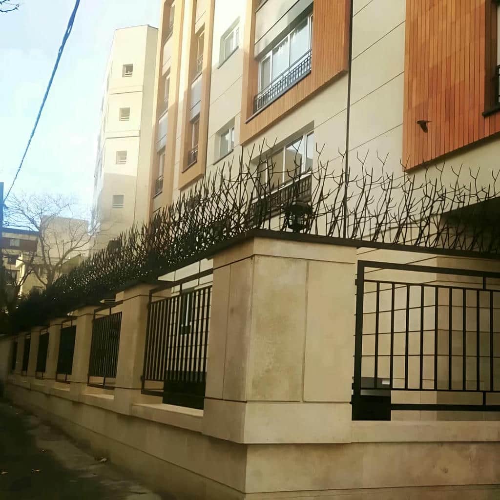 حفاظ شاخ گوزنی در کرمانشاه