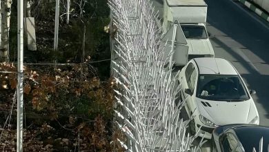 حفاظ شاخ گوزنی در بندر چابهار