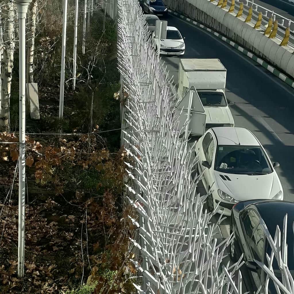 حفاظ شاخ گوزنی در بندر چابهار