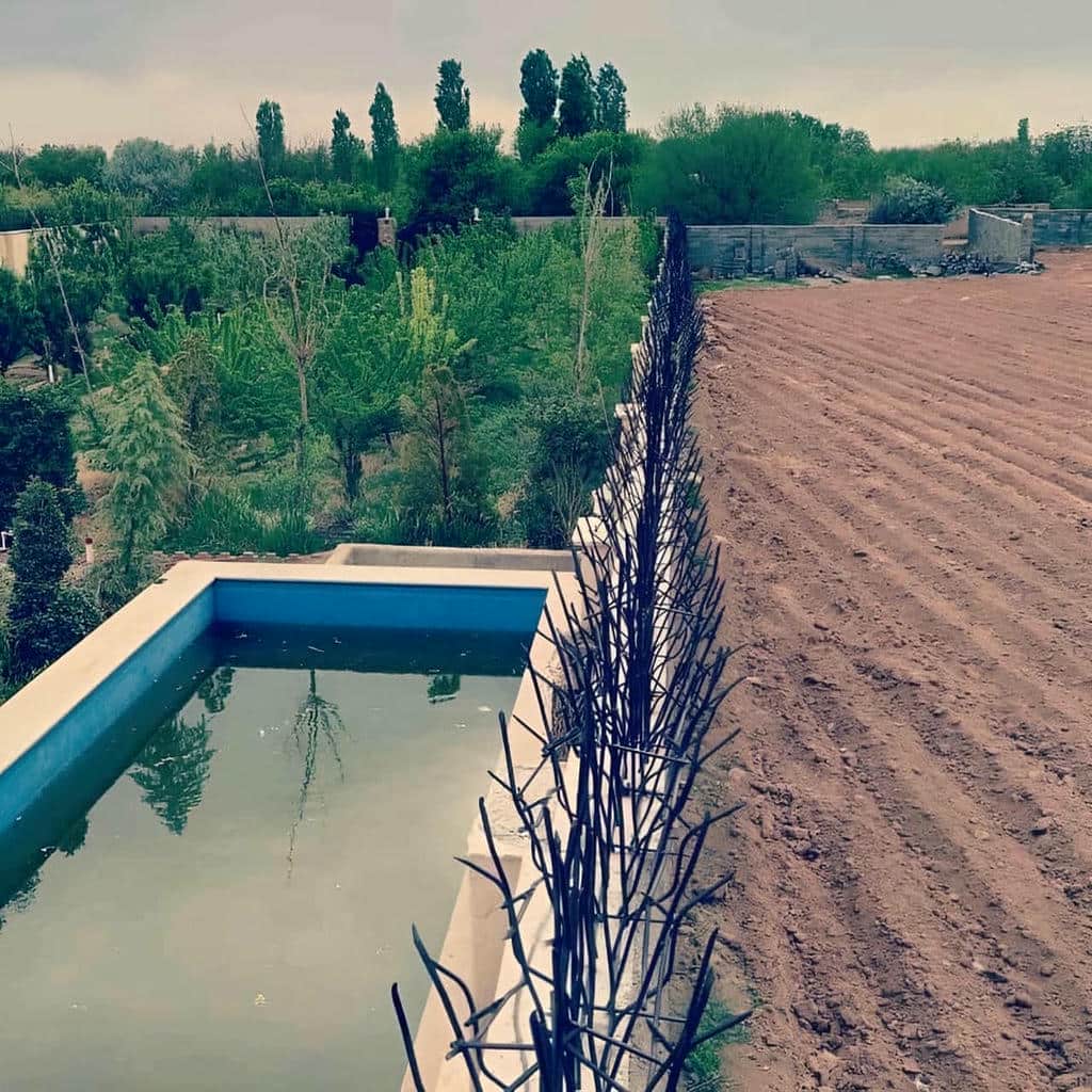 حفاظ شاخ گوزنی در کمال شهر
