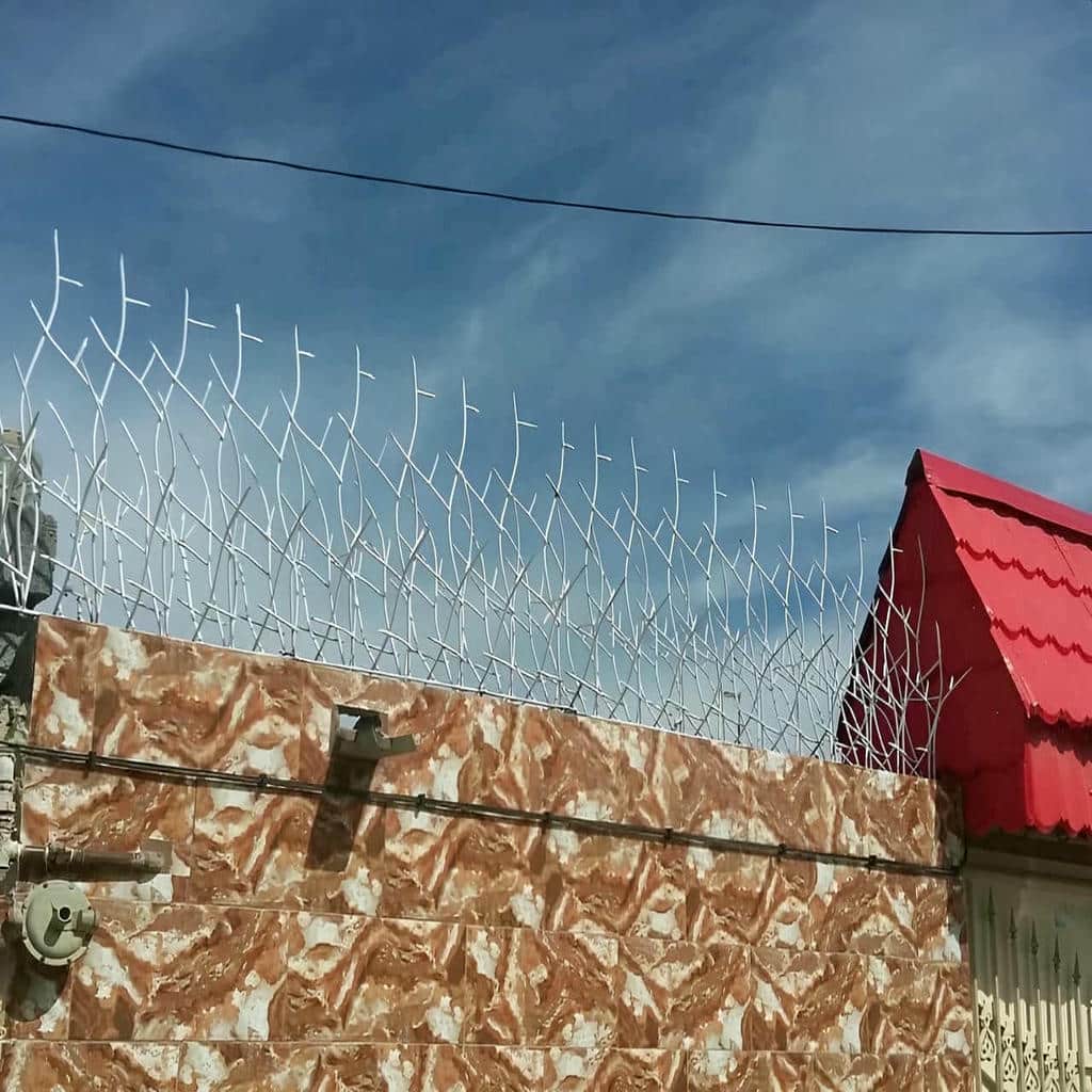 نصب حفاظ شاخ گوزنی حفاظ دیوار ساختمان در اراک