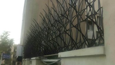 حفاظ شاخ گوزنی در آمل
