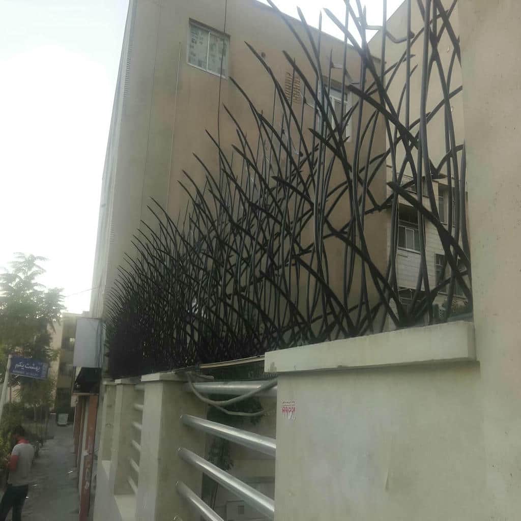 حفاظ شاخ گوزنی در آمل