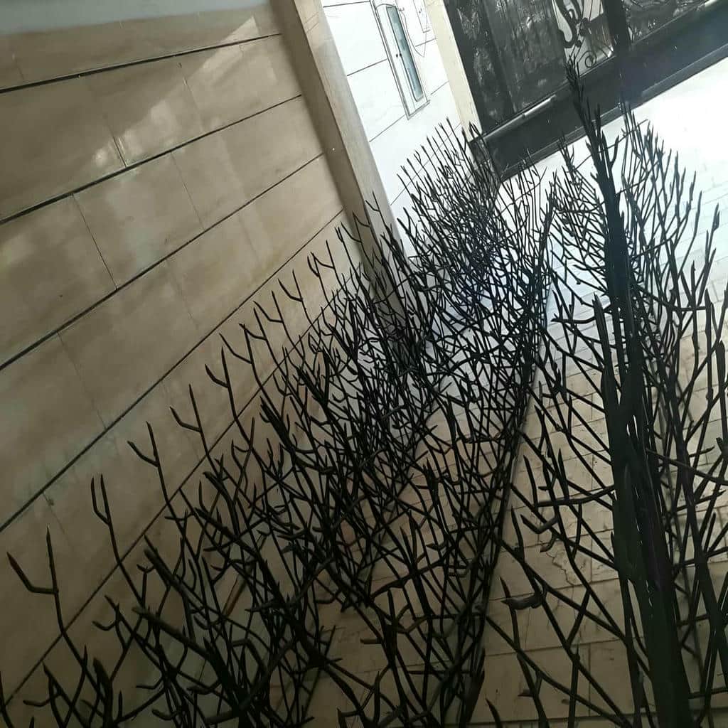 حفاظ شاخ گوزنی در باغ عباس‌آباد