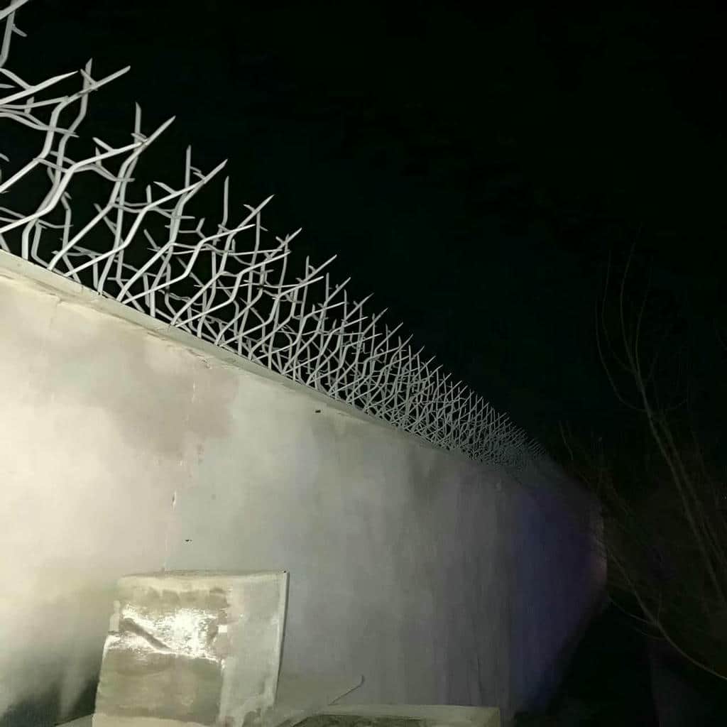 حفاظ شاخ گوزنی در نسیم شهر