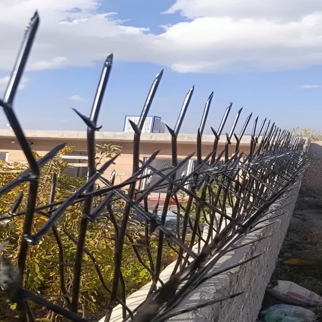 قیمت حفاظ شاخ گوزنی نرده شاخ گوزنی در یاسوج قیمت حفاظ شاخ گوزنی نرده شاخ گوزنی در یاسوج