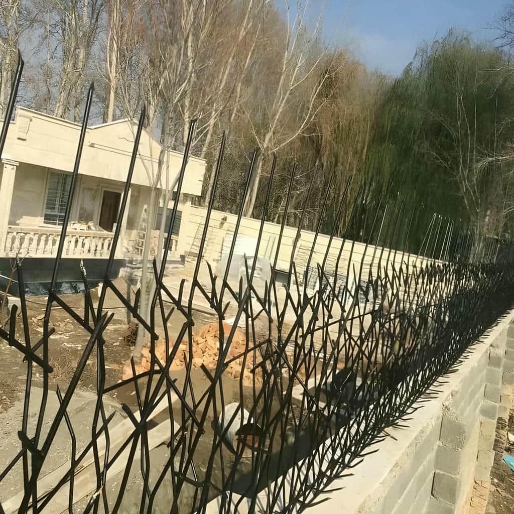 قیمت حفاظ شاخ گوزنی کلاسیک در عظیمیه کرج قیمت حفاظ شاخ گوزنی کلاسیک در عظیمیه کرج