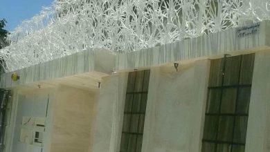 حفاظ شاخ گوزنی در کرج