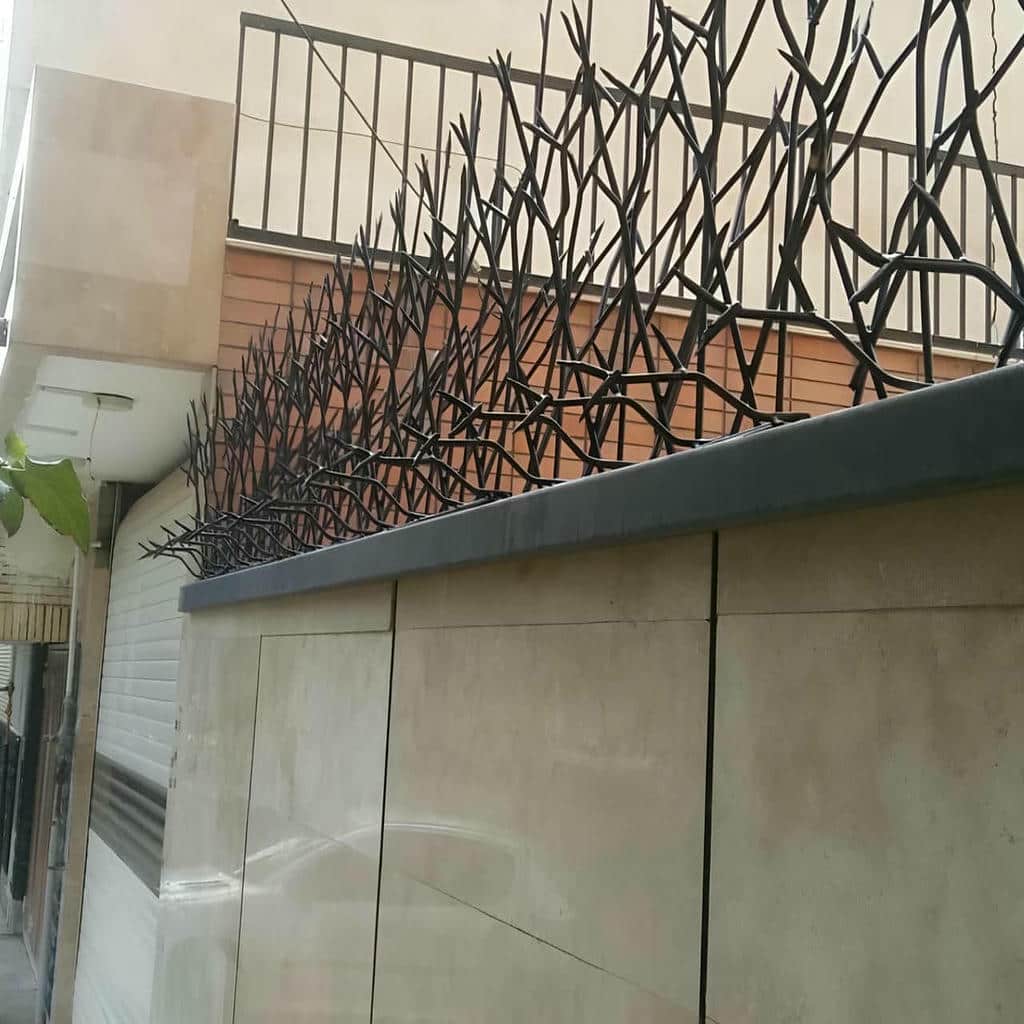 فروش حفاظ شاخ گوزنی رنگ مقاوم در فشم