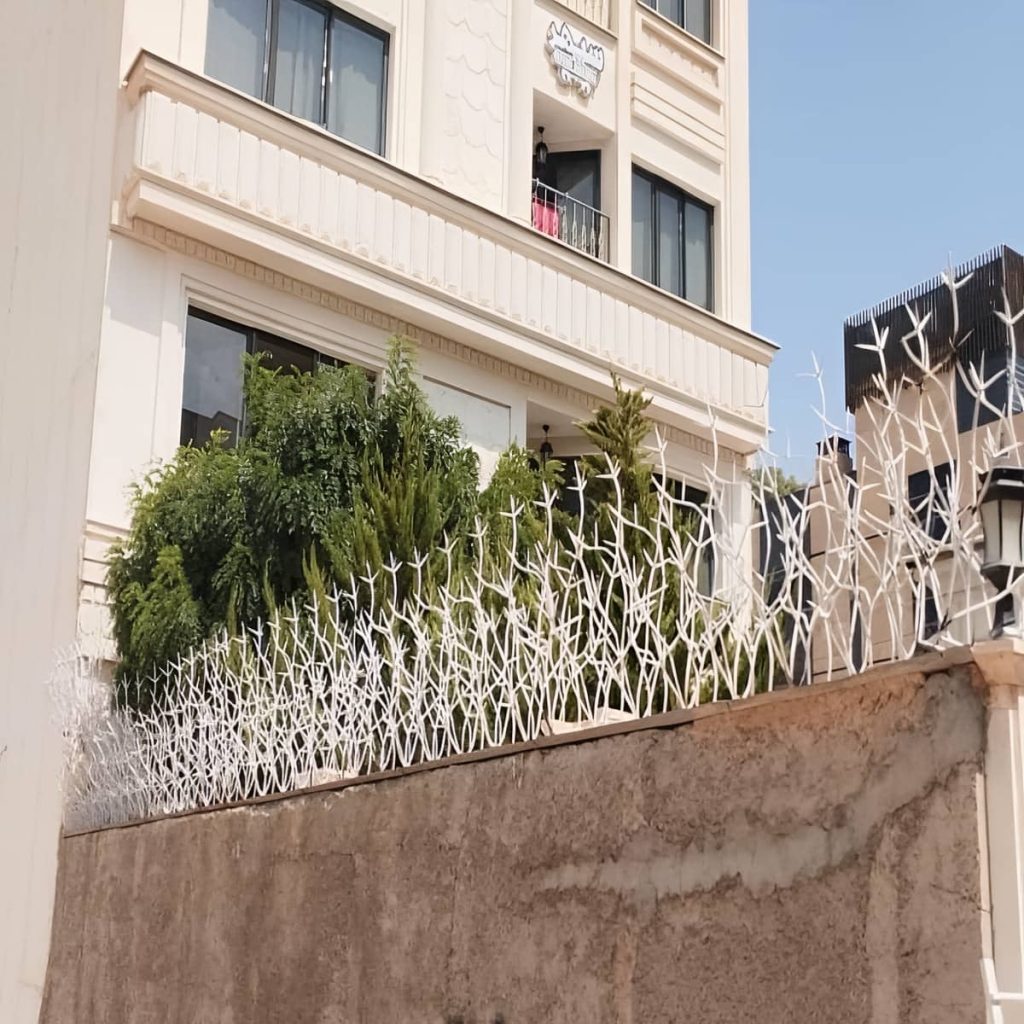 قیمت حفاظ شاخ گوزنی باغ در بندرعباس قیمت حفاظ شاخ گوزنی باغ در بندرعباس
