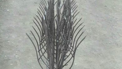 حفاظ شاخ گوزنی در یاسوج