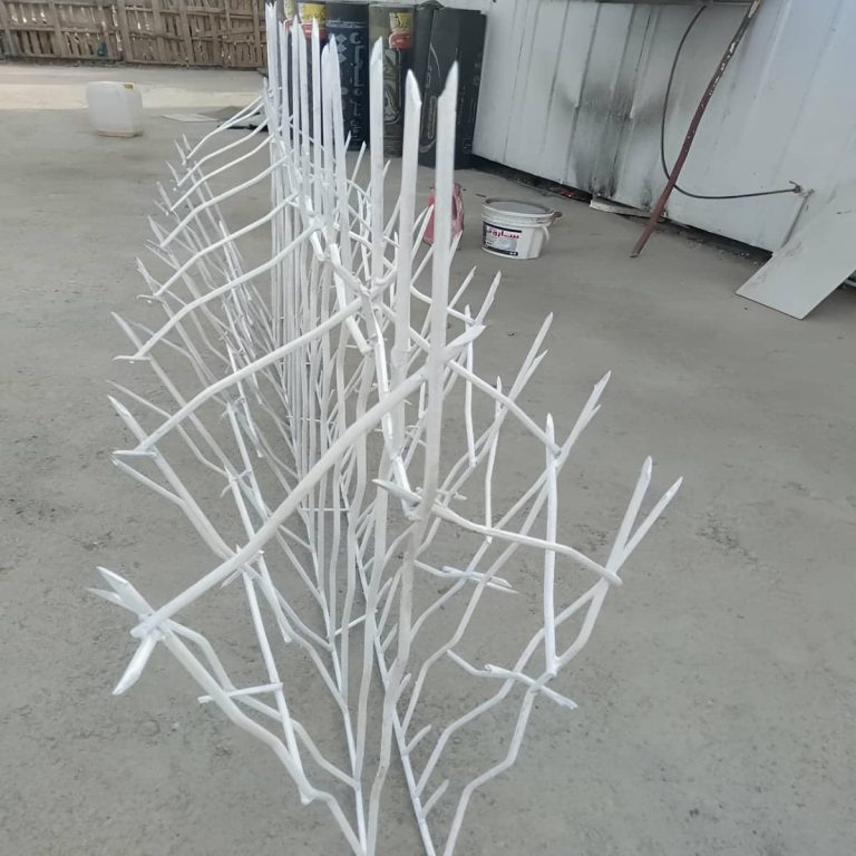 حفاظ شاخ گوزنی در رشت حفاظ شاخ گوزنی در رشت