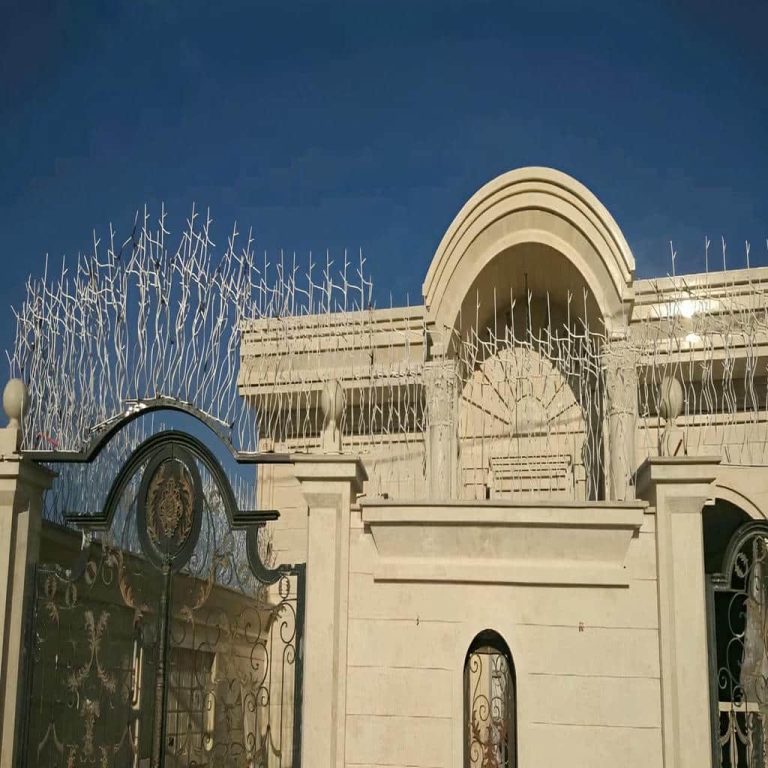 حفاظ شاخ گوزنی در تبریز