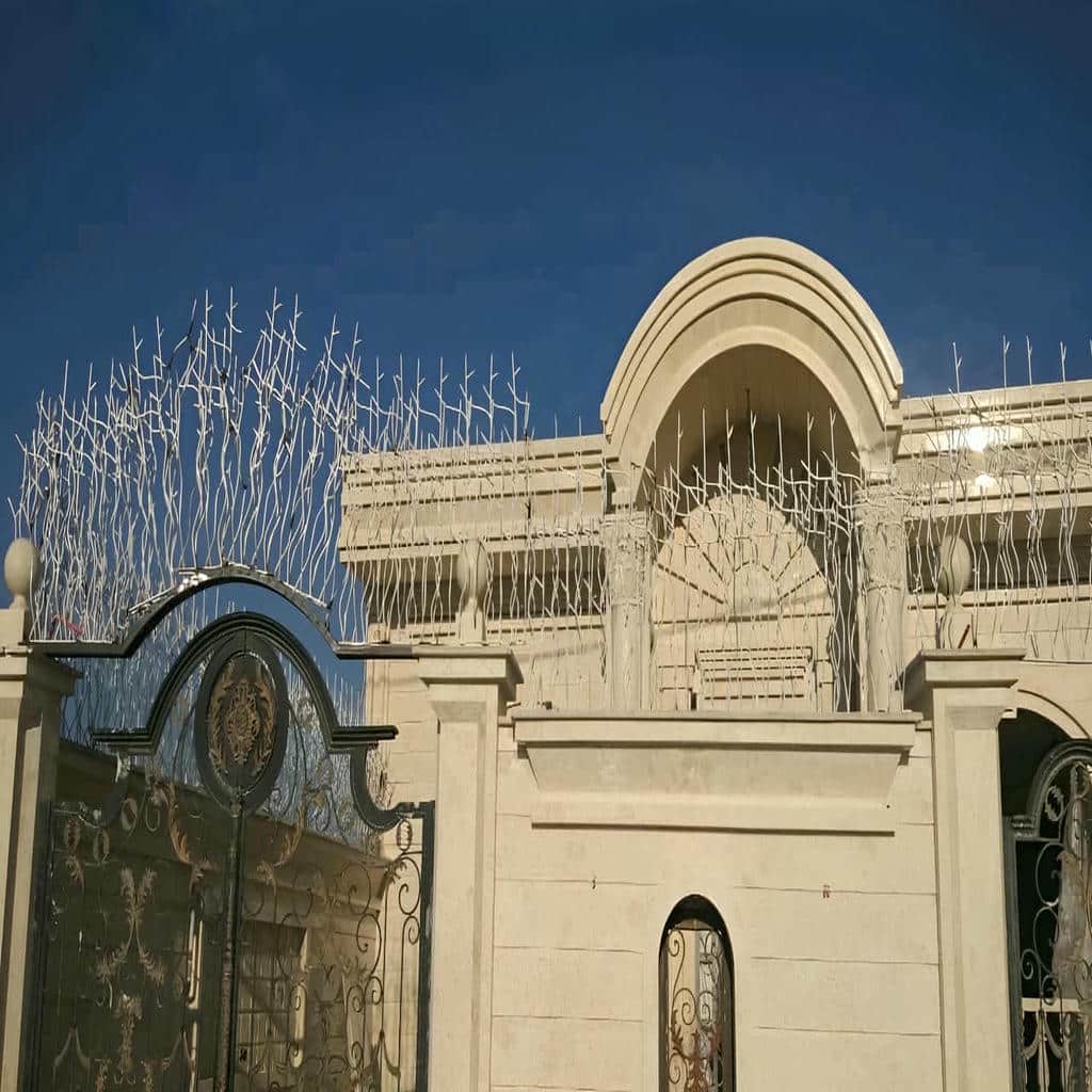 حفاظ شاخ گوزنی در تبریز
