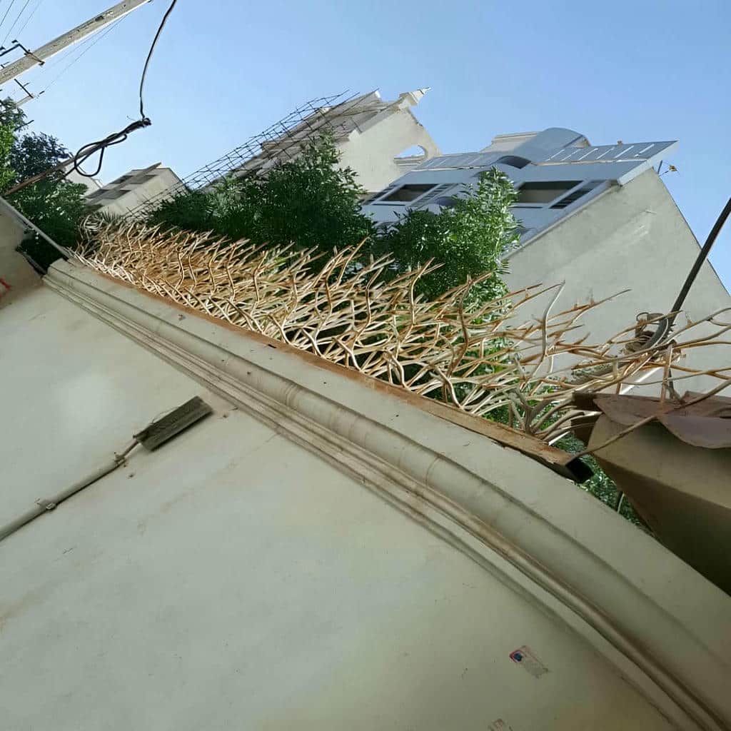 قیمت حفاظ شاخ گوزنی ویلا در آبادان قیمت حفاظ شاخ گوزنی ویلا در آبادان