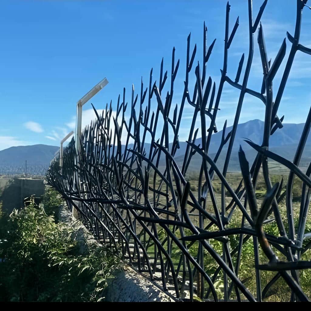 خرید حفاظ شاخ گوزنی شاخه متراکم در شهرکرد