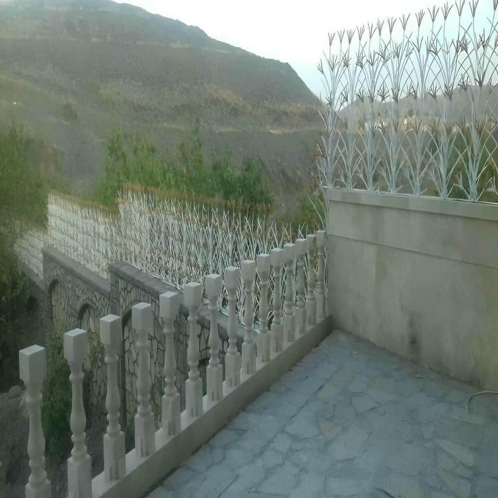 فروش حفاظ شاخ گوزنی حفاظ ضدسرقت دیوار در ساری