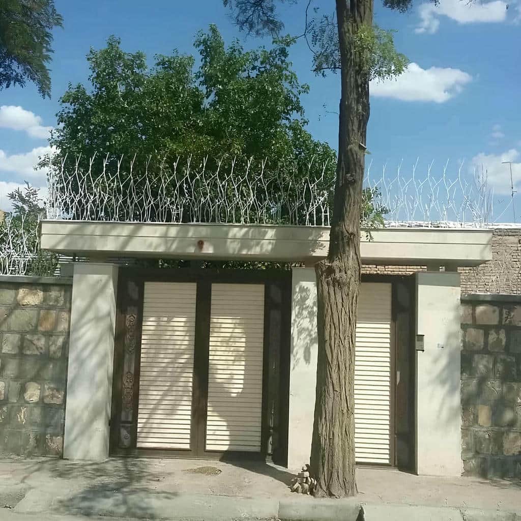 حفاظ شاخ گوزنی در آبادان