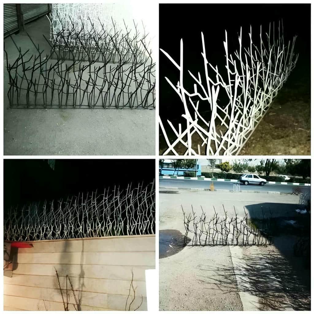 خرید حفاظ شاخ گوزنی پرتراکم در باغ عباس‌آباد